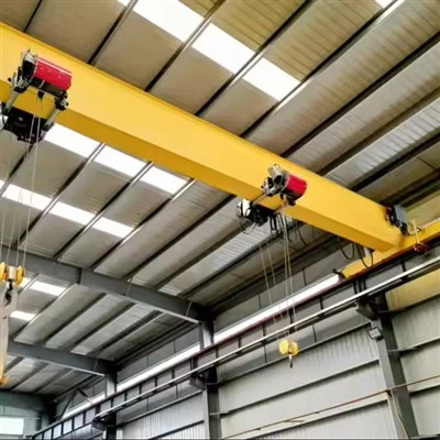Controle remoto Crane de sobrecarga única